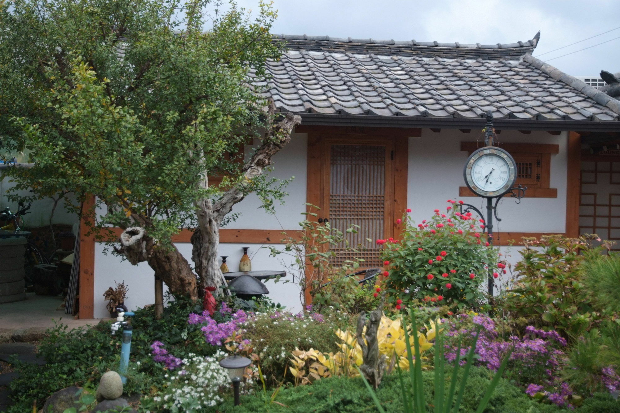Floral Space Hanok Guesthouse Gyeongju Dış mekan fotoğraf